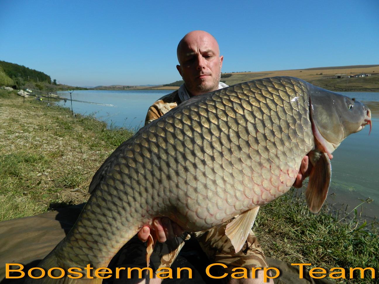 Continuare  - dscn31212.jpg